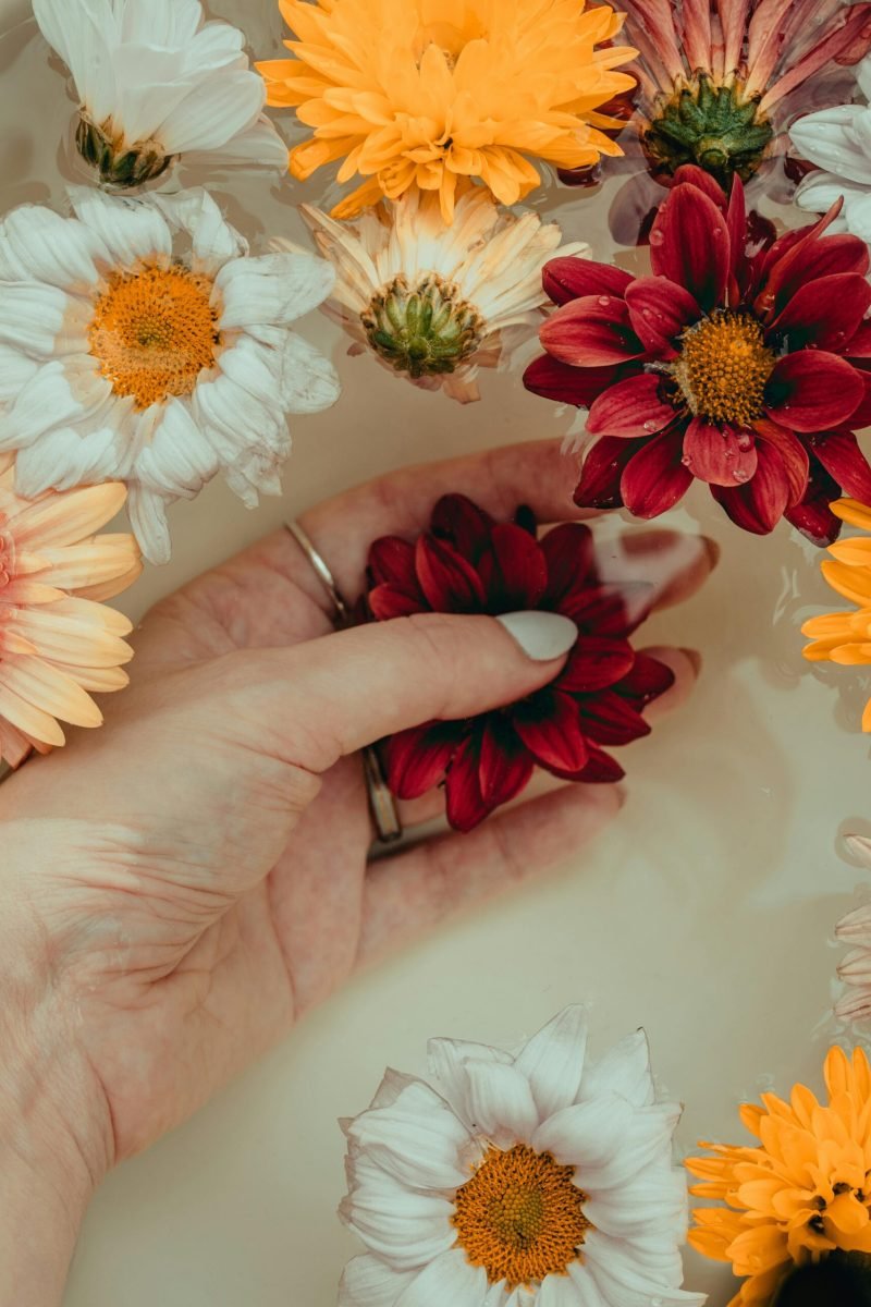 pexels-fotios-photos-17890699